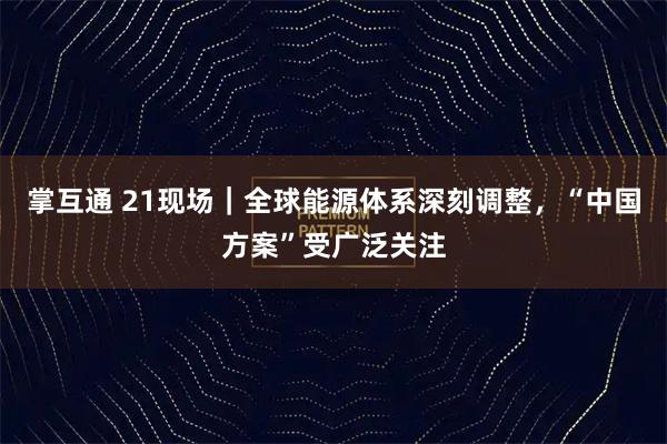 掌互通 21现场｜全球能源体系深刻调整，“中国方案”受广泛关注