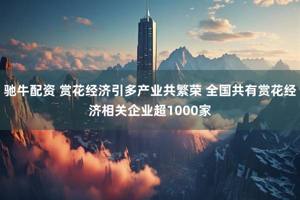 驰牛配资 赏花经济引多产业共繁荣 全国共有赏花经济相关企业超1000家