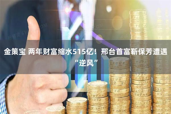 金策宝 两年财富缩水515亿！邢台首富靳保芳遭遇“逆风”