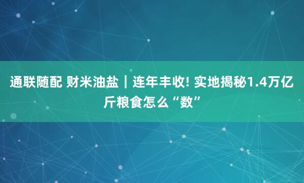 通联随配 财米油盐｜连年丰收! 实地揭秘1.4万亿斤粮食怎么“数”