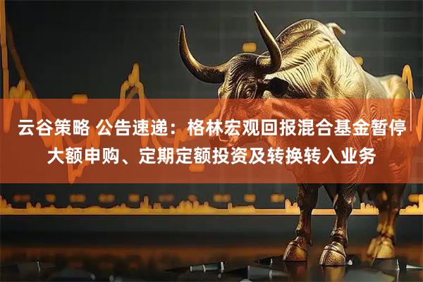 云谷策略 公告速递：格林宏观回报混合基金暂停大额申购、定期定额投资及转换转入业务