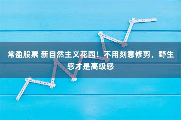 常盈股票 新自然主义花园！不用刻意修剪，野生感才是高级感